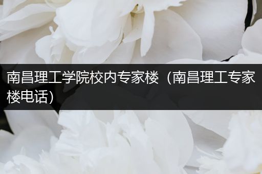 南昌理工学院校内专家楼（南昌理工专家楼电话）