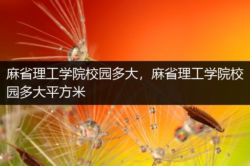 麻省理工学院校园多大，麻省理工学院校园多大平方米