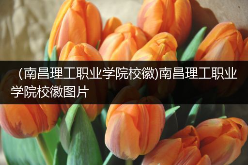 （南昌理工职业学院校徽)南昌理工职业学院校徽图片