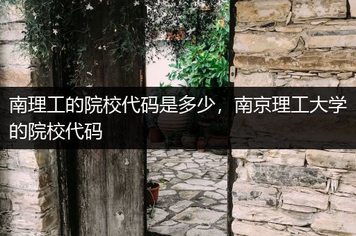 南理工的院校代码是多少，南京理工大学的院校代码