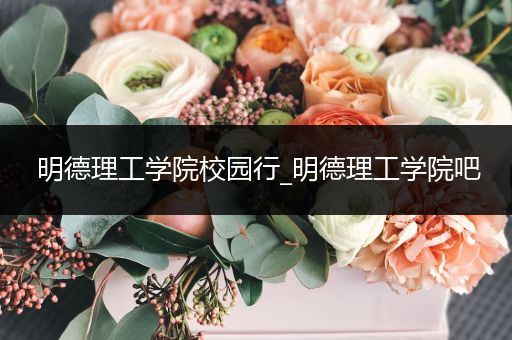 明德理工学院校园行_明德理工学院吧