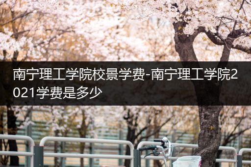 南宁理工学院校景学费-南宁理工学院2021学费是多少