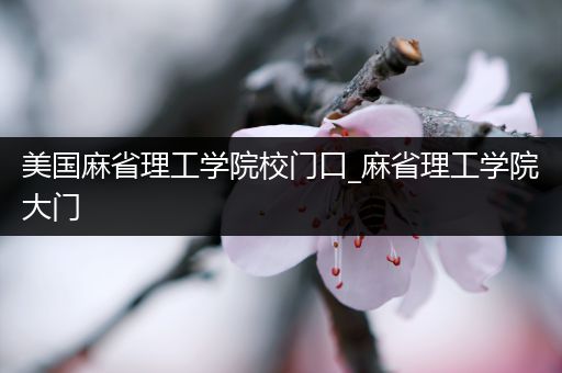 美国麻省理工学院校门口_麻省理工学院大门