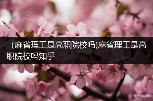 （麻省理工是高职院校吗)麻省理工是高职院校吗知乎