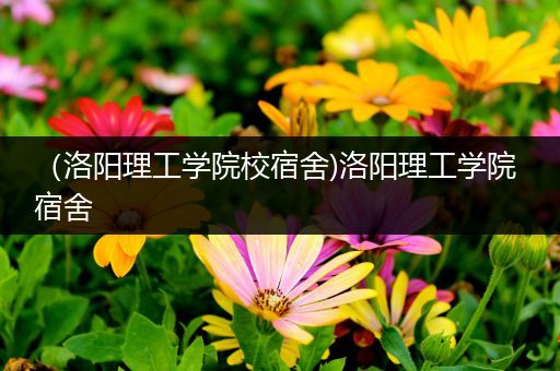 （洛阳理工学院校宿舍)洛阳理工学院 宿舍