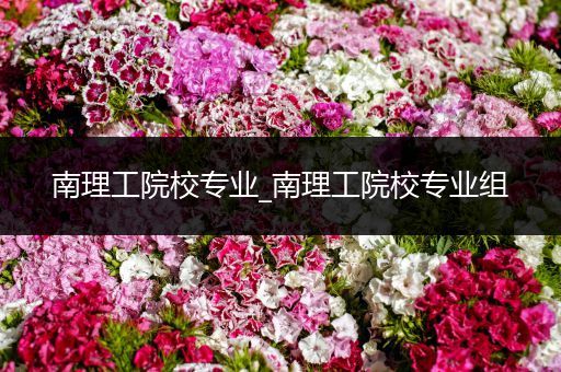 南理工院校专业_南理工院校专业组