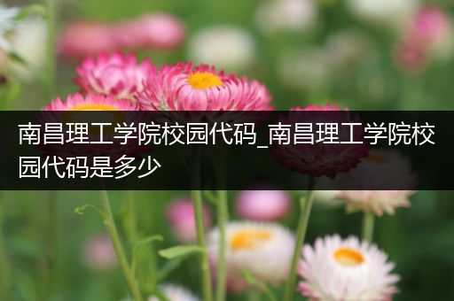 南昌理工学院校园代码_南昌理工学院校园代码是多少