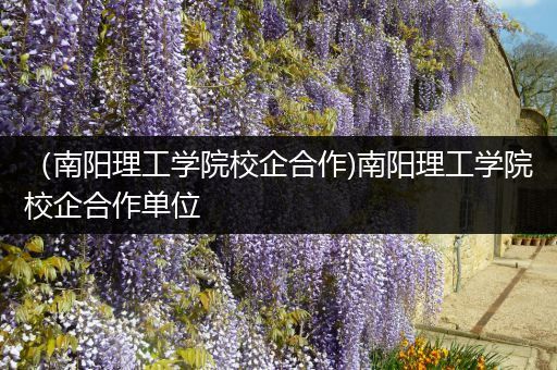 （南阳理工学院校企合作)南阳理工学院校企合作单位