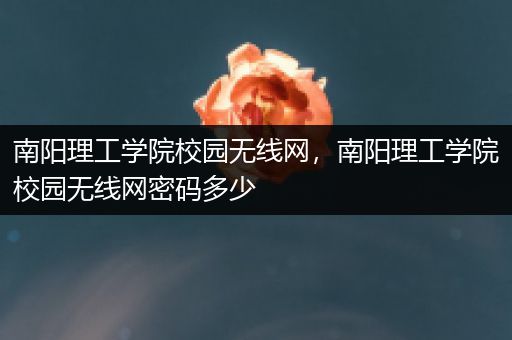 南阳理工学院校园无线网，南阳理工学院校园无线网密码多少