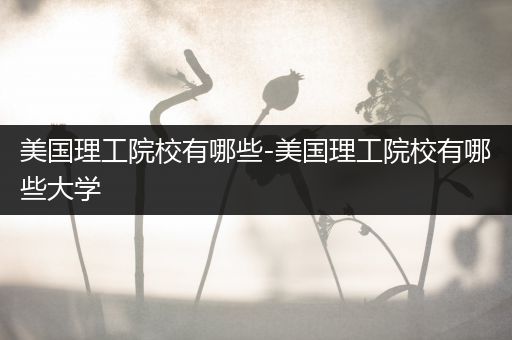 美国理工院校有哪些-美国理工院校有哪些大学