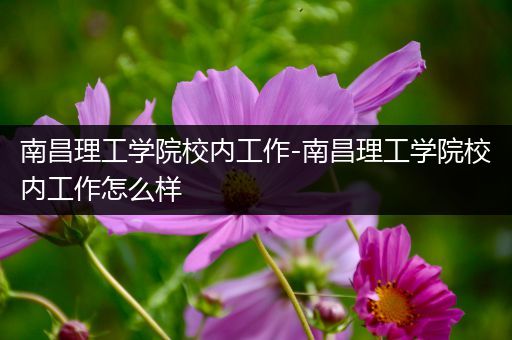 南昌理工学院校内工作-南昌理工学院校内工作怎么样