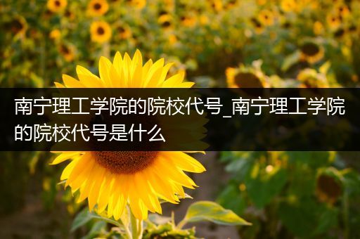 南宁理工学院的院校代号_南宁理工学院的院校代号是什么