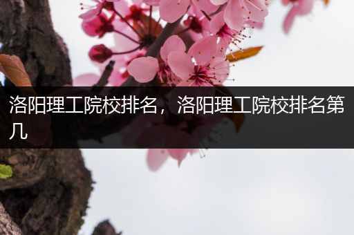洛阳理工院校排名，洛阳理工院校排名第几