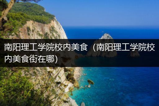 南阳理工学院校内美食（南阳理工学院校内美食街在哪）