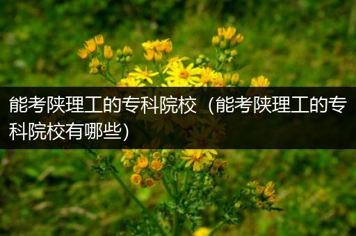 能考陕理工的专科院校（能考陕理工的专科院校有哪些）