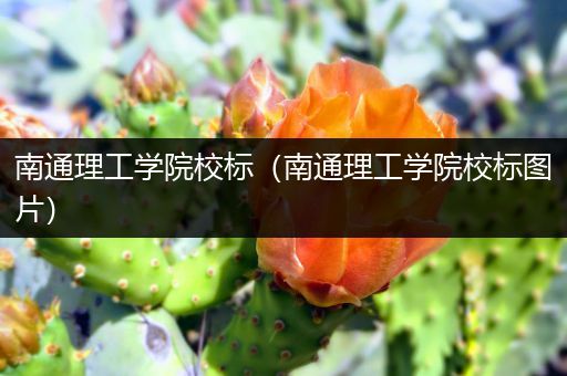 南通理工学院校标（南通理工学院校标图片）