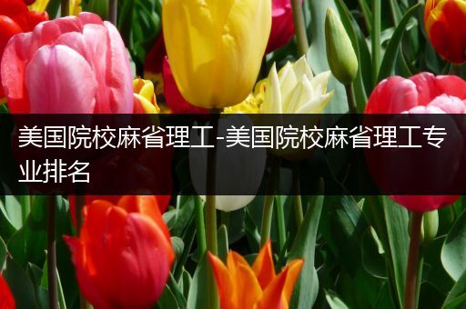 美国院校麻省理工-美国院校麻省理工专业排名
