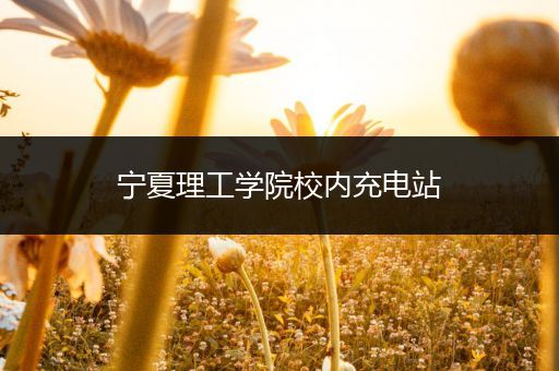 宁夏理工学院校内充电站