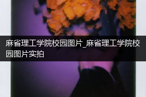 麻省理工学院校园图片_麻省理工学院校园图片实拍