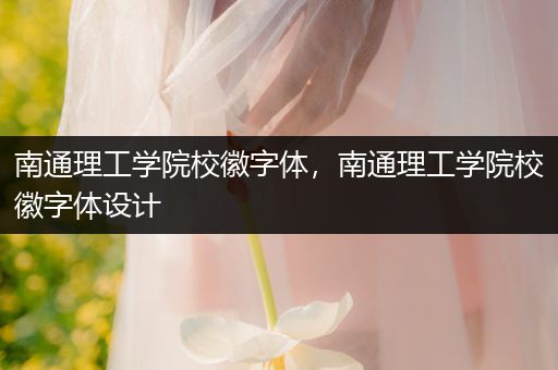 南通理工学院校徽字体，南通理工学院校徽字体设计