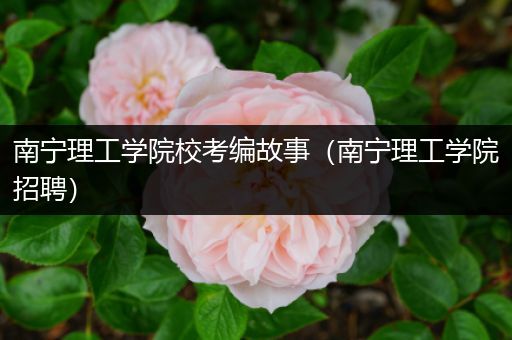 南宁理工学院校考编故事（南宁理工学院招聘）