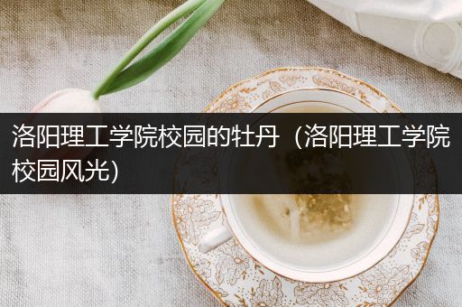 洛阳理工学院校园的牡丹（洛阳理工学院校园风光）