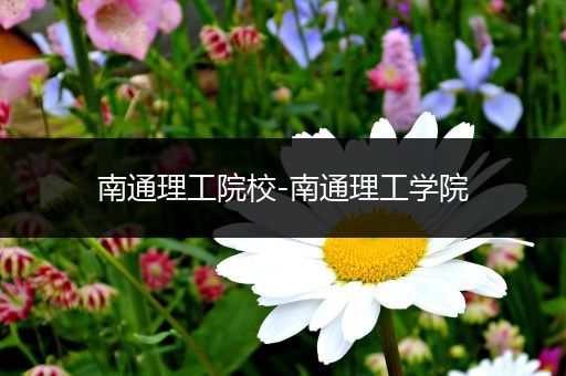 南通理工院校-南通理工学院