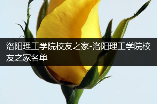 洛阳理工学院校友之家-洛阳理工学院校友之家名单