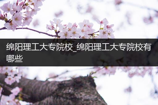 绵阳理工大专院校_绵阳理工大专院校有哪些