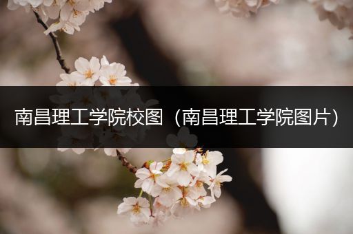 南昌理工学院校图（南昌理工学院图片）
