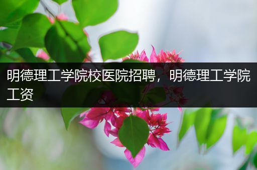 明德理工学院校医院招聘，明德理工学院工资