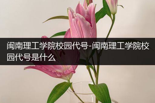 闽南理工学院校园代号-闽南理工学院校园代号是什么