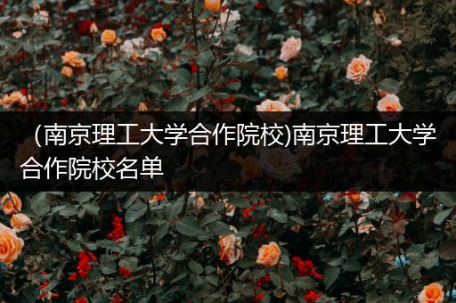 （南京理工大学合作院校)南京理工大学合作院校名单