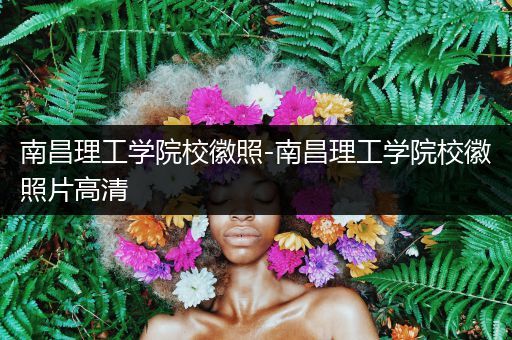 南昌理工学院校徽照-南昌理工学院校徽照片高清