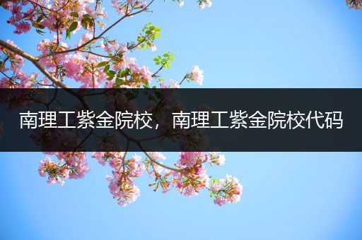 南理工紫金院校，南理工紫金院校代码
