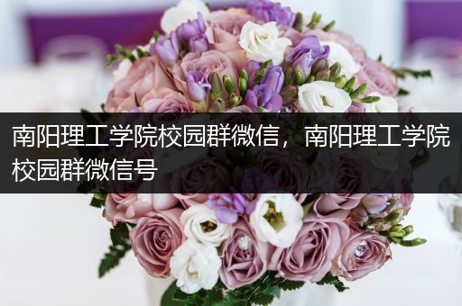 南阳理工学院校园群微信，南阳理工学院校园群微信号