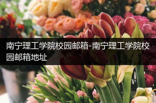 南宁理工学院校园邮箱-南宁理工学院校园邮箱地址