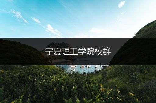 宁夏理工学院校群
