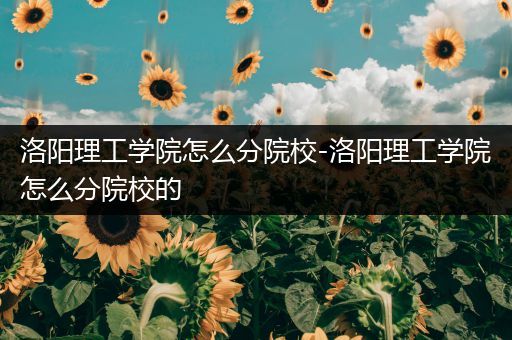 洛阳理工学院怎么分院校-洛阳理工学院怎么分院校的