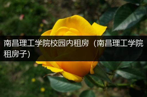 南昌理工学院校园内租房（南昌理工学院租房子）