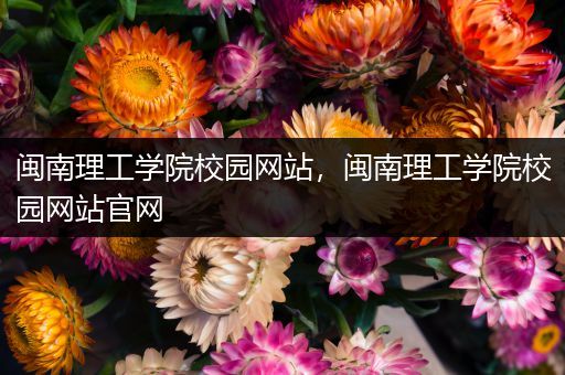 闽南理工学院校园网站，闽南理工学院校园网站官网