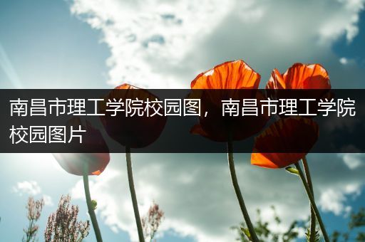 南昌市理工学院校园图，南昌市理工学院校园图片