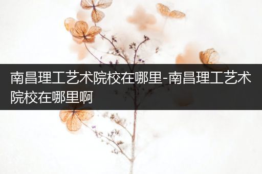 南昌理工艺术院校在哪里-南昌理工艺术院校在哪里啊
