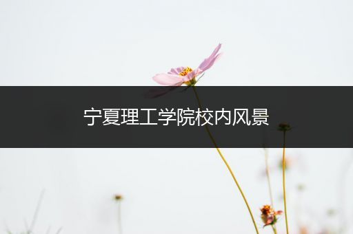 宁夏理工学院校内风景