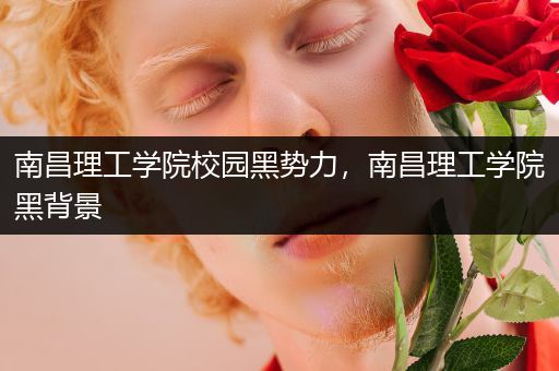 南昌理工学院校园黑势力，南昌理工学院黑背景