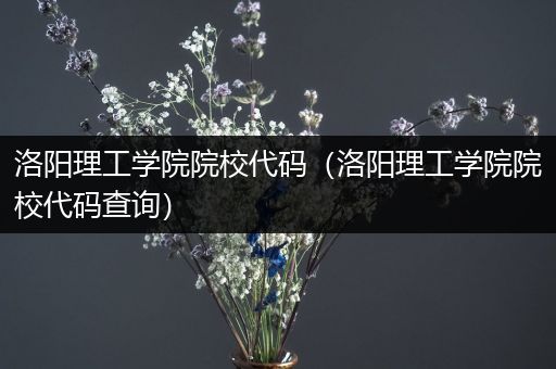 洛阳理工学院院校代码（洛阳理工学院院校代码查询）