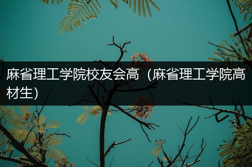 麻省理工学院校友会高（麻省理工学院高材生）