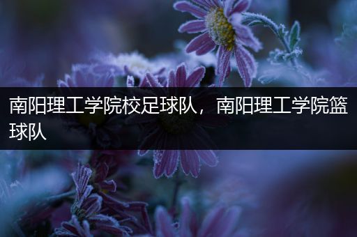 南阳理工学院校足球队，南阳理工学院篮球队