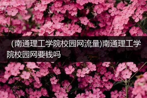 （南通理工学院校园网流量)南通理工学院校园网要钱吗