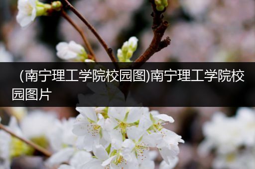 （南宁理工学院校园图)南宁理工学院校园图片